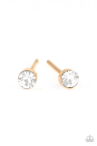 Dainty Decor Gold Earring