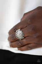 Load image into Gallery viewer, Stone Sensei Silver Ring